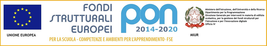 Logo grande PON